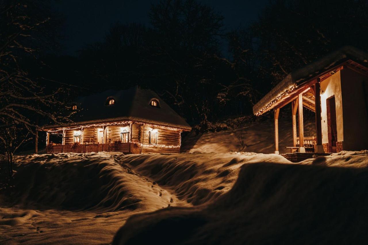 Вилла Casa Lu' Ion Вишеу-де-Сус Экстерьер фото