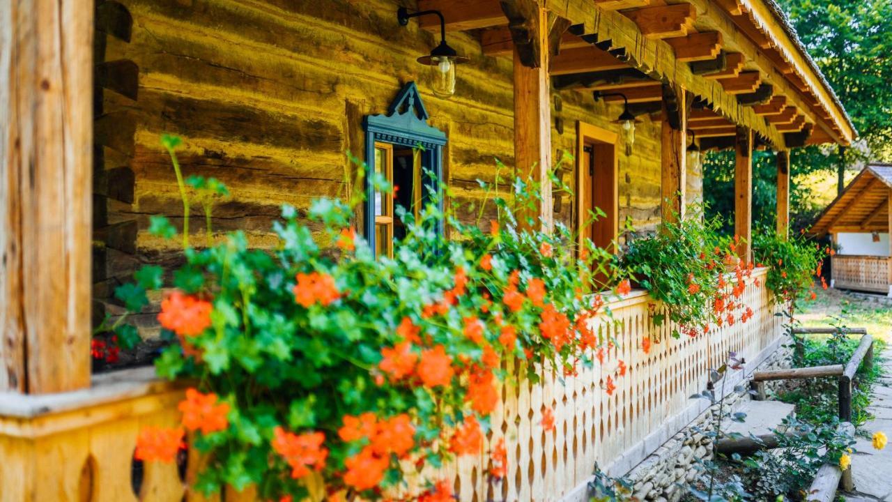 Вилла Casa Lu' Ion Вишеу-де-Сус Экстерьер фото