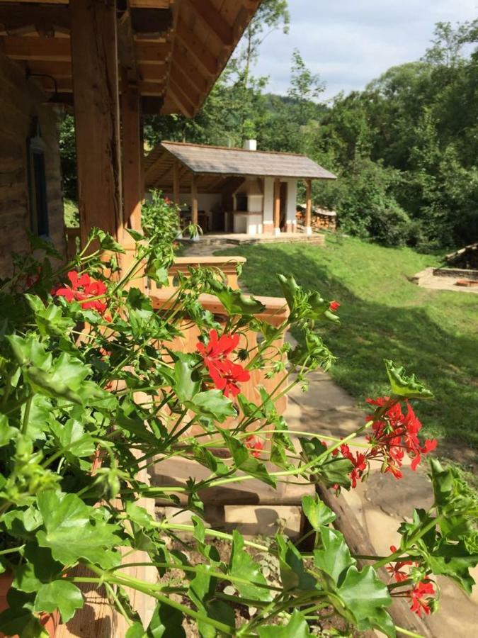 Вилла Casa Lu' Ion Вишеу-де-Сус Экстерьер фото
